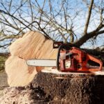 pennsylvania timber value
