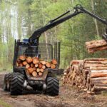 managing pennsylvania timber