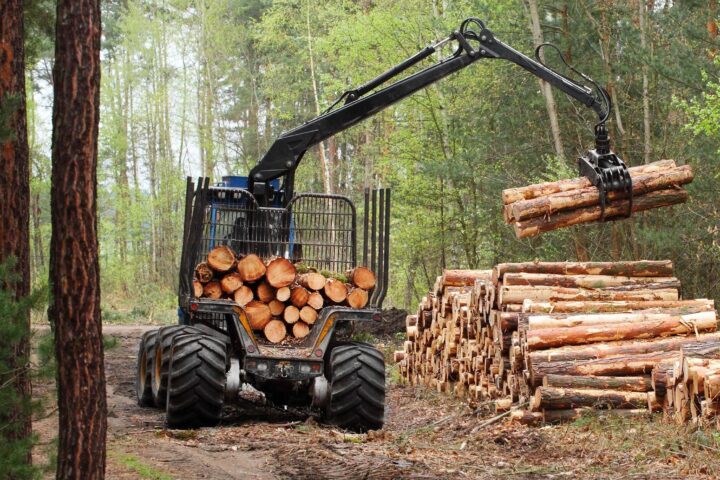 managing pennsylvania timber