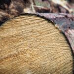pennsylvania rough lumber