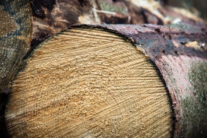 pennsylvania rough lumber